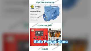 방폭 디젤 발전기 00kva ATEX 구역