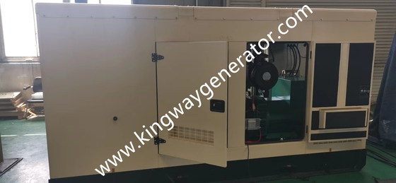 가스 열펌프 에어컨을 위한 250KVA 천연가스 쿠민스 200 kw 발전기 무음
