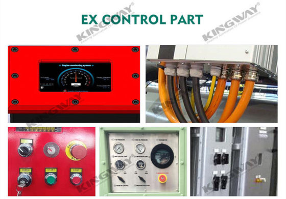 공급 400v 50hz 3 단계 4 와이어 300kva 디젤 엔진 전신 ATEX 구역 2 등급 dnvoffshore 발전기