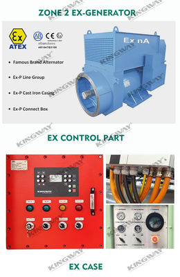 해상 플랫폼 ATEX 구역 2 32kw 40kva 구역1 폭발 방지 디젤 발전기 세트 DNVGL 2.7-1 리프팅 프레임