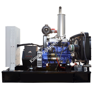 20KW 25KVA 조용한 복식 연료 디젤과 바이오가스 발전기 세트 카민즈 엔진