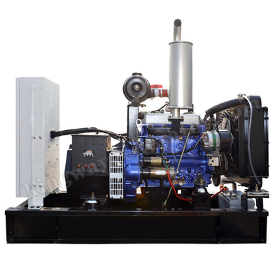 20KW 25KVA 조용한 복식 연료 디젤과 바이오가스 발전기 세트 카민즈 엔진